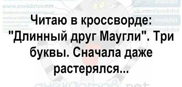 Читаю в кроссворде длинный друг Маугли Три буквы Сначала даже растерялся