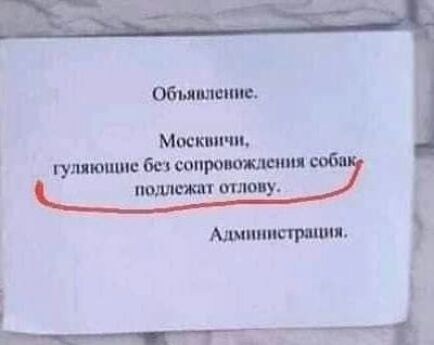 Оби пинг Мосин зщ гумтшю без вопро ация тли аттУ Г Ашиишршип