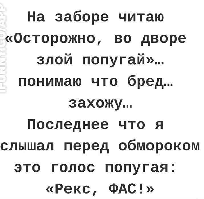 На заборе читаю Осторожно во дворе злой попугай понимаю что бред захожу Последнее что я слышал перед обмороком это голос попугая Рекс ФАС