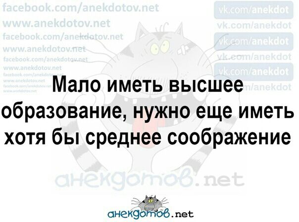 Мало иметь высшее образование нужно еще иметь хотя бы среднее соображение онекёёёсб пес