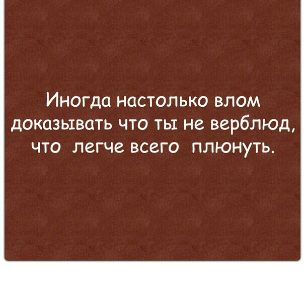 ИНОГДО НССТОЛЬКО ВЛОМ дОКОЗЫВОТЬ ЧТО ТЫ не верблюд ЧТО ЛСГЧВ ВСЗГО ПЛЮНУТЬ