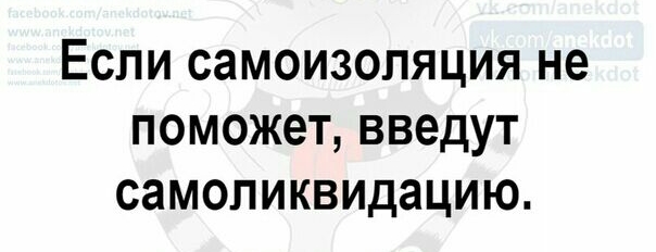 Если самоизопяция не поможет введут самопиквидацию