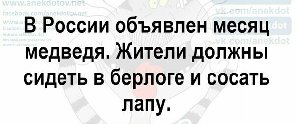 В России объявлен месяц медведя Жители должны сидеть в берлоге и сосать папу