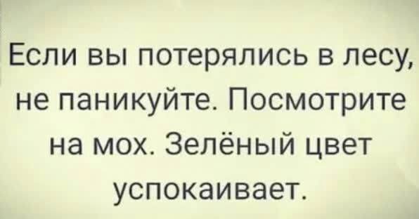 Если вы потерялись в лесу не паникуйте Посмотрите на мох Зелёный цвет успокаивает