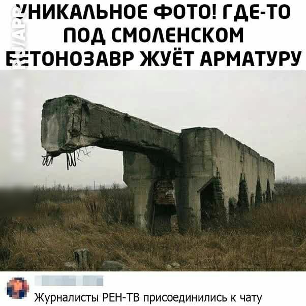 ЗНИКААЬНОЕ фОТО ГДЕ ТО ПОД СМОАЕЁСКОМ ЕЕТОНОЗАВР ЖУЕТ АРМАТУРУ Журналисгы РЕНТВ присоединились к чату