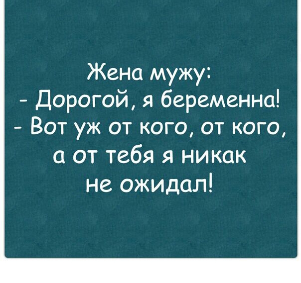 Жена мужу Дорогой я беременна Вот уж от кого от кого а от тебя я никак не ожидал