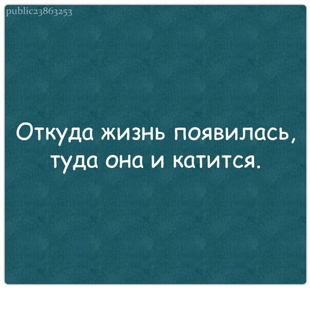 ыы Откуда жизнь появилась туда ОНО И КОТИТСЯ