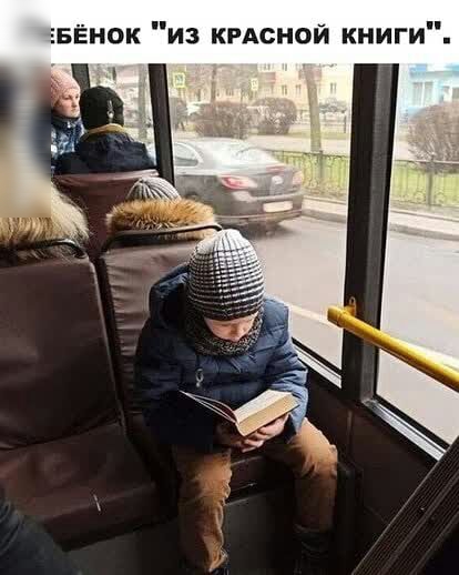 БЁнок из крдсной книги