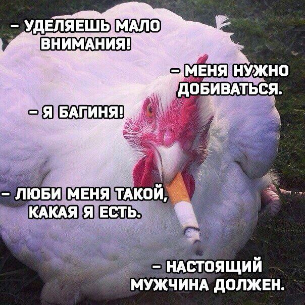 мужчИНА должен