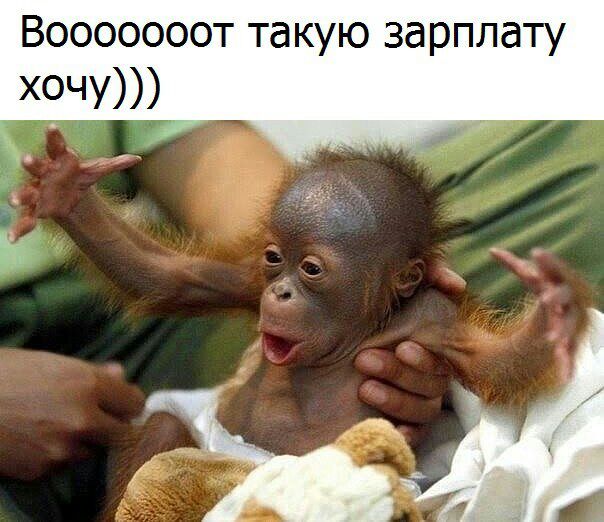 Вооооооот та кую зарплату хочу