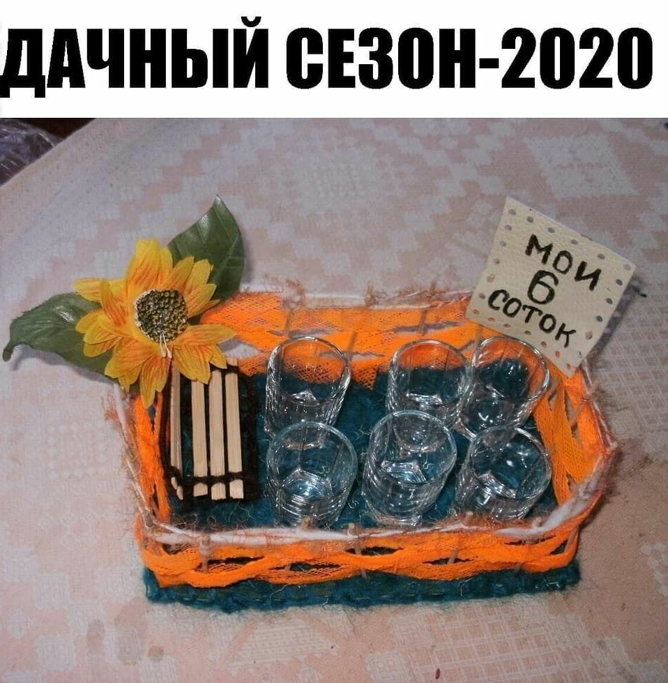ддЧНЫЙ птн 2020