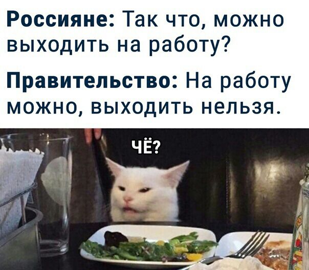 Россияне Так что можно выходить на работу Правительство На работу можно выходить нельзя
