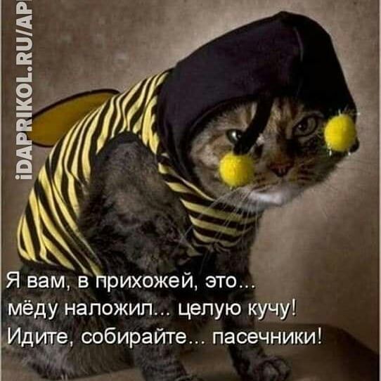 м_е унапожип целую собирайте пасечники