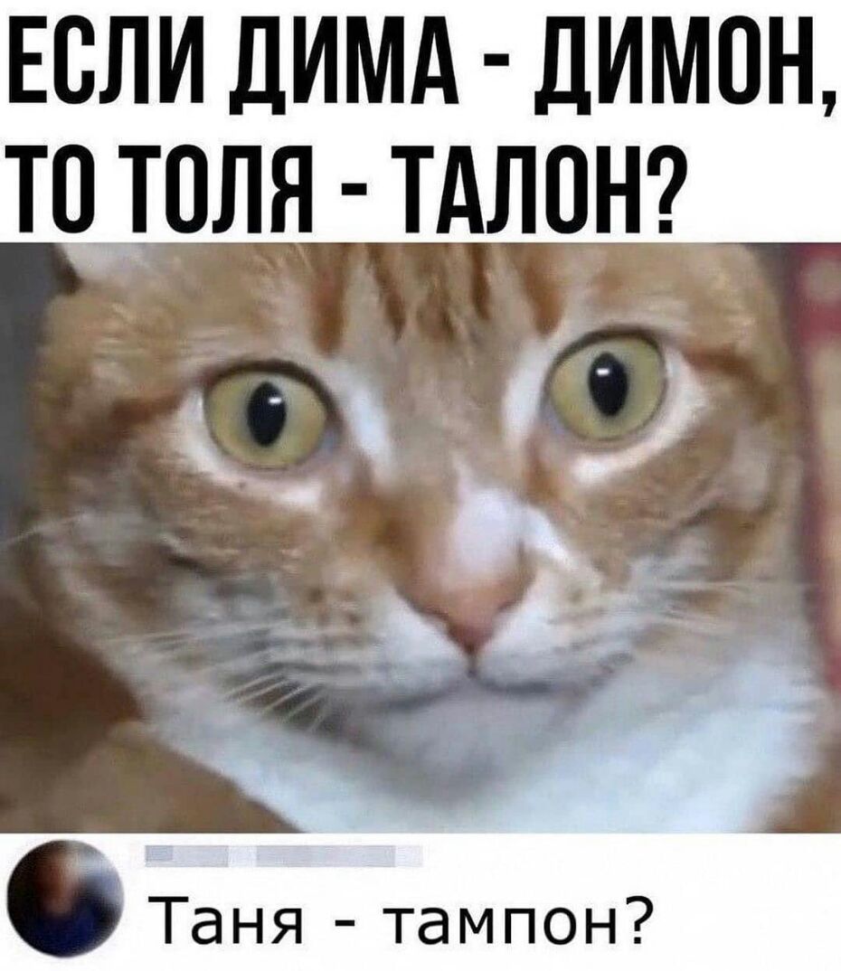 Если димд лимон тотоля тдлонг