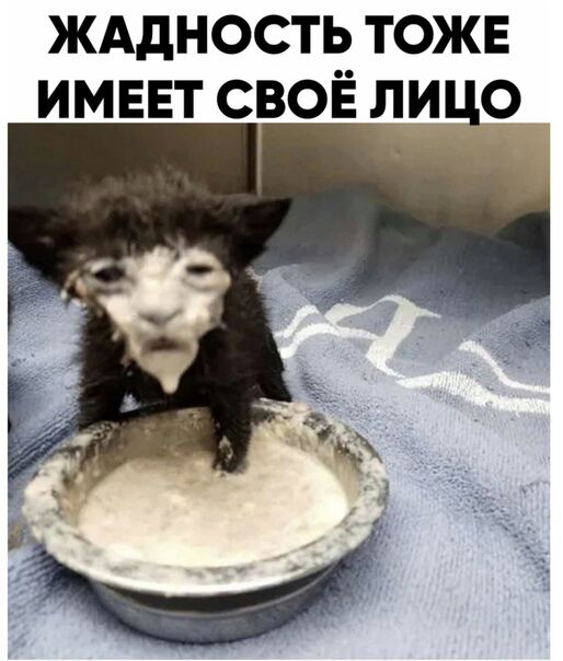жддность тоже имвнт своё лицо