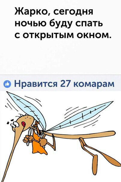 Жарко сегодня ночью буду спать с открытым окном О Нравится 27 комарам
