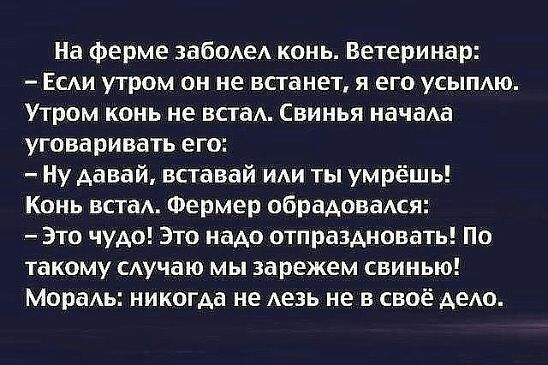 На ферме забодед конь Ветеринар Есди утром он не встанет я его усыпдю Утром конь не вам Свинья начаа уговаривать его Ну давай вставай иди ты умрёшь Конь встаА Фермер обрадоваАся Это чудо Это надо отпраздновать По такому сдучаю мы зарежем свинью Морать никогда не Аезь не в своё дело