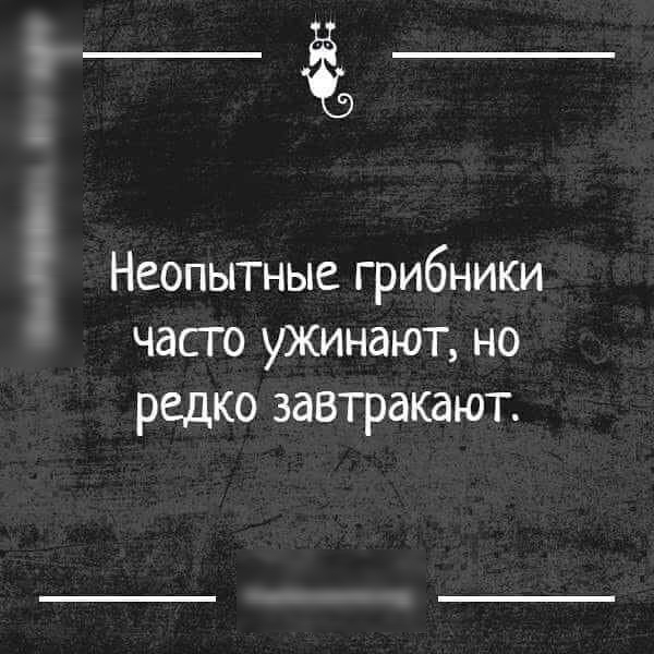 Неопытные грибники часго ужинают но редко завтракают