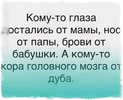 Кому то глаза остались от мамы нос от папы брови от бабушки А кому то кора головного мозга от дуба