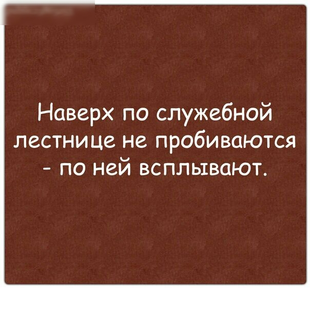 Наверх по служебной лестнице не пробиваются по ней всплывают