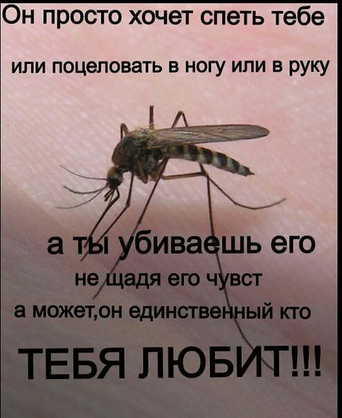 Он просто хочет спеть тебе или поцеловать в ногу или в руку