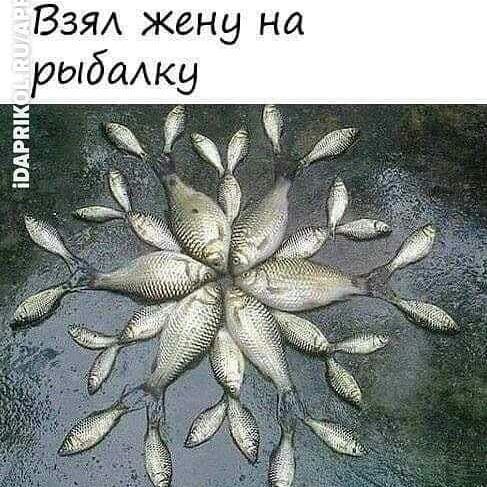ВЗЯА жену на рыбажу Ё 718 _ 3 а Ёі