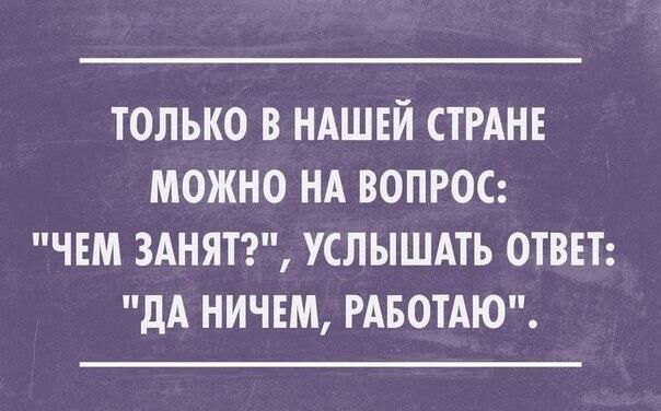 ТОЛЬКО В НАШЕЙ СТРАНЕ МОЖНО НА ВОПРОС ЧЕМ 3АНЯТ УСЛЫШАТЬ ОТВЕТ дА НИЧЕМ РАБОТАЮ