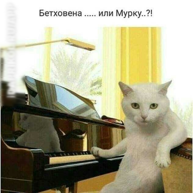 Бетховена или Мурку