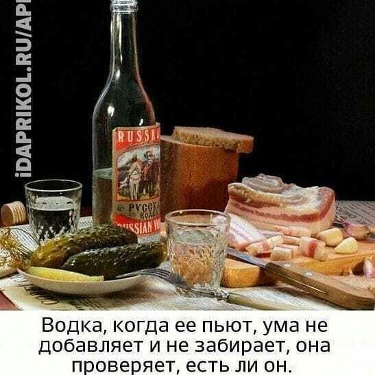 ПАРШКОЬПШАРі Водка когда ее пьют ума не добавляет и не забирает она п ове яет есть ли он
