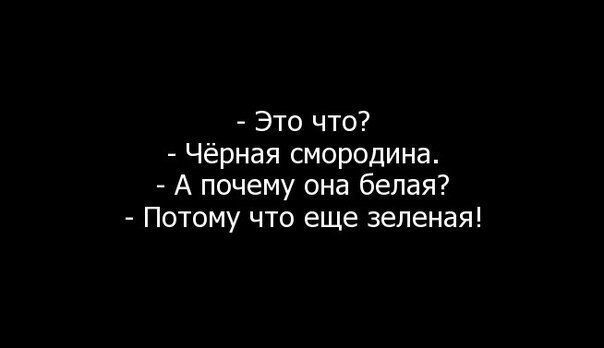 Это что Чёрная смородина А почему она белая Потому что еще зеленая
