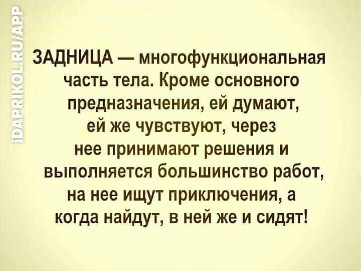 ЗАДНИЦА многофункциональная часть тела Кроме основного предназначения ей думают ей же чувствуют через нее принимают решения и выполняется большинство работ на нее ищут приключения а когда найдут в ней же и сидят