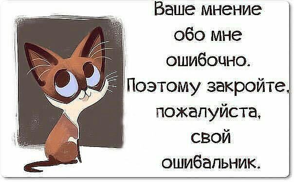 Ваше мнение обо мне ошибоцно Поэтому закройте пожалуйста свой ошибапьник