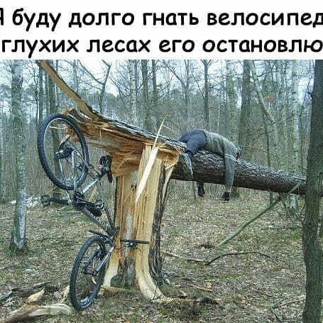 буду долго гнать велосипея пухи лесах его остановл Ъ