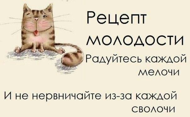 Рецепт МОАОАОСТИ Радуйтесь КОЖАОЙ меАочи И не нервничойте иззо КОЖАОЙ СВОАОЧИ