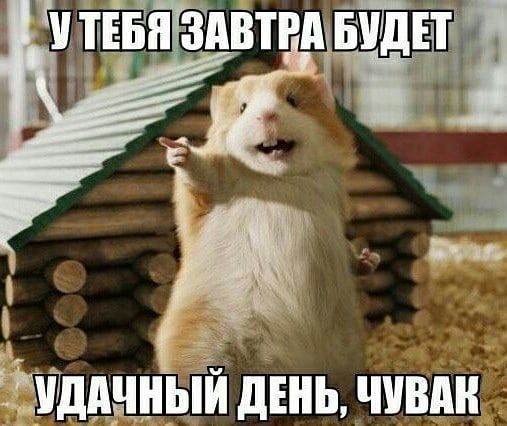 _Ё г дза Жтдцдшыи динь чивдн