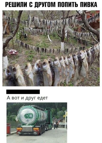 РЕШИЛИ Б ПРУГПМ ПППИТЬ ПИВИА