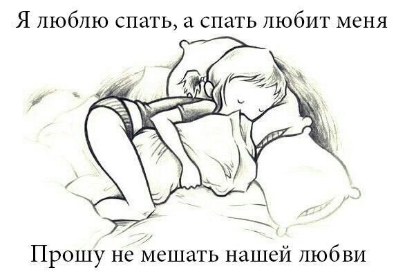 Я люблю спать а спать любит меня Прошу не мешать нашей любви