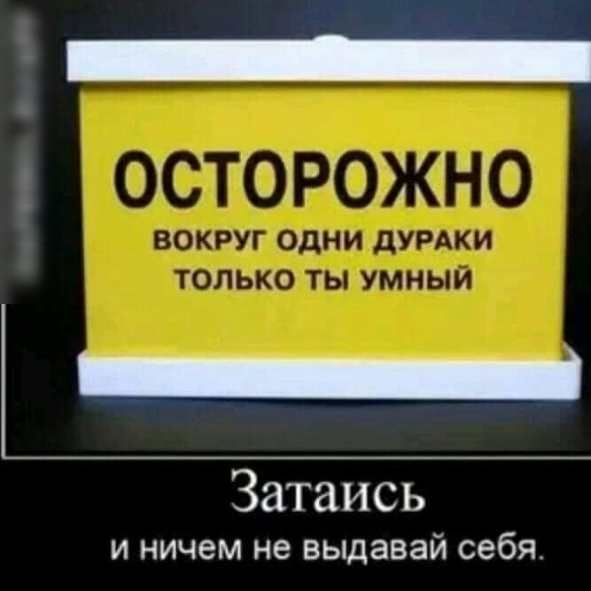 Затаись и ничем не выдавай себя