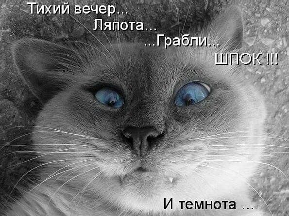 И темнота