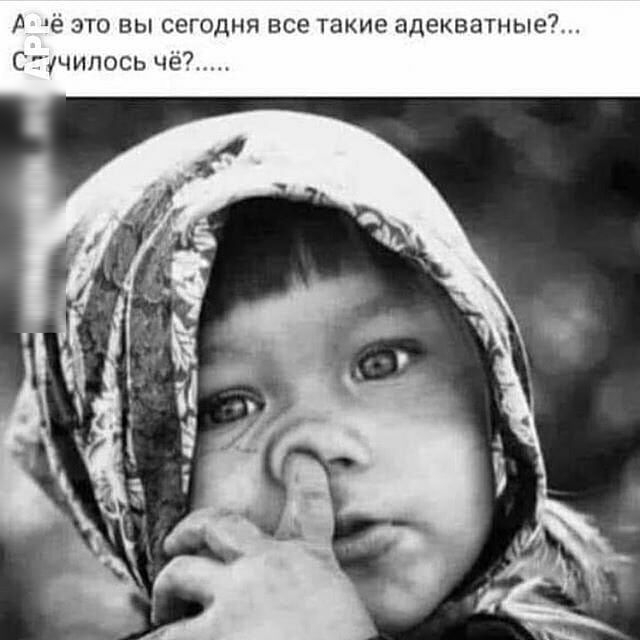 А это вы сегодня все такие адекватные