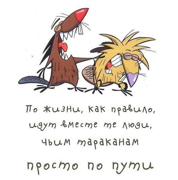 По ыЗНы как педЧаща ищут Месте те дюзы ЧЬыМ таеаканам пеосто По путы