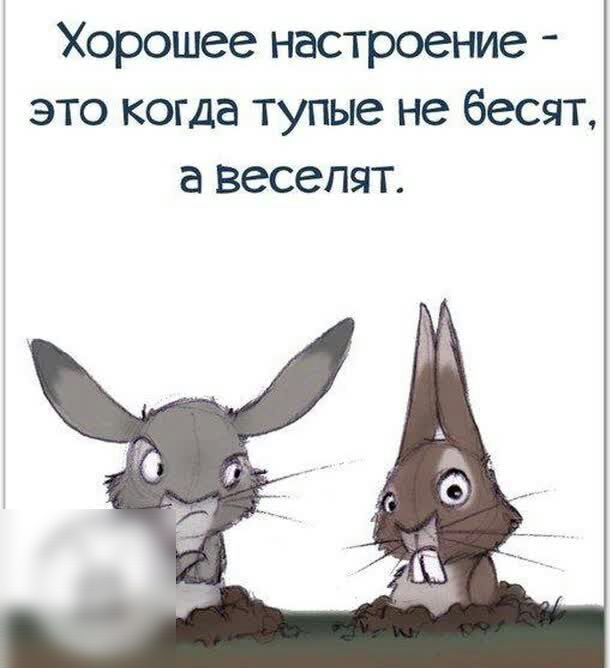 Хорошее настроение это когда тупые не бесят а веселят