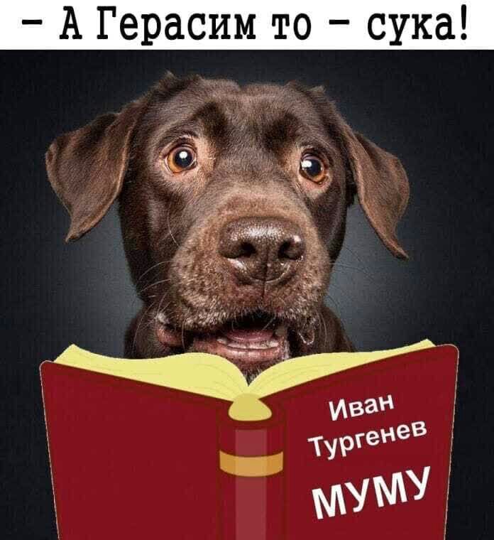 А Герасим то сука