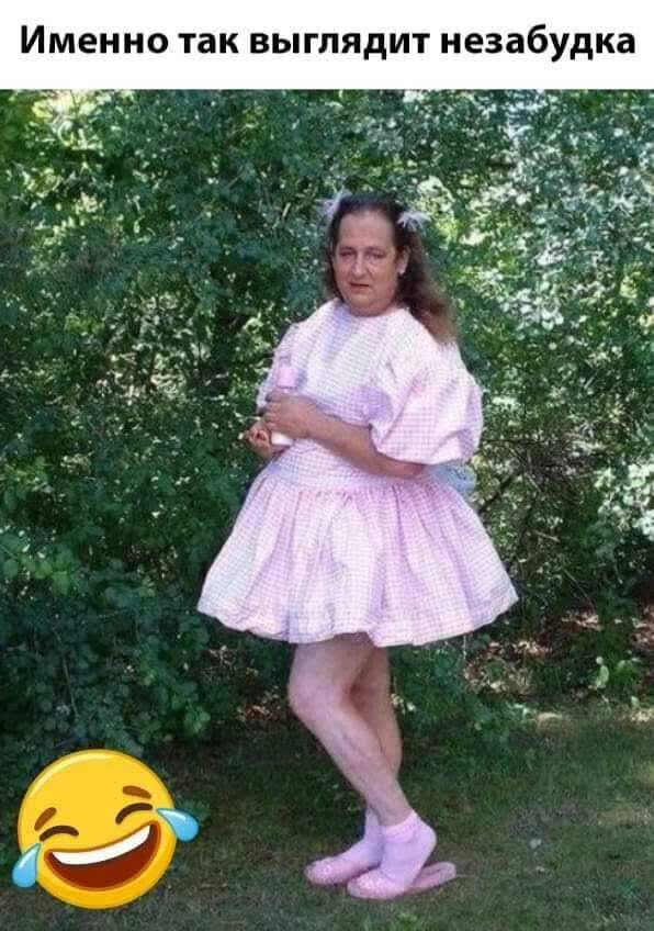 Именно так выглядит незабудка