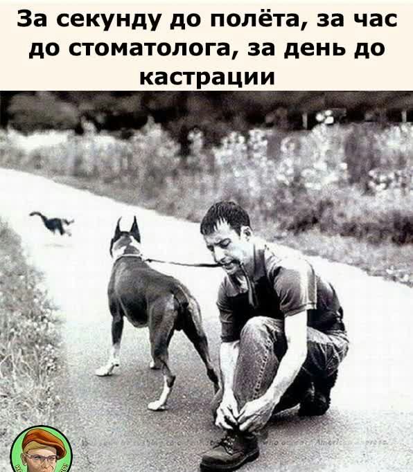 За секунду до полёта за час до стоматолога за день до кастрации