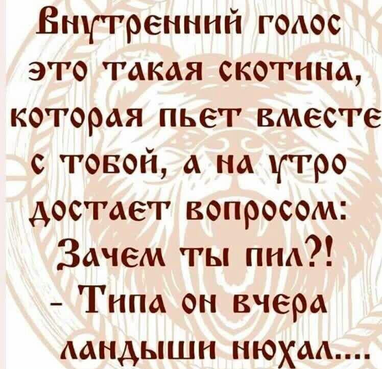 Внутренний гоаос это такая скотина которая пьет вместе с товой а на утро достает вопросом Зачем ты ина Типа он вчера аандышн нюхаа
