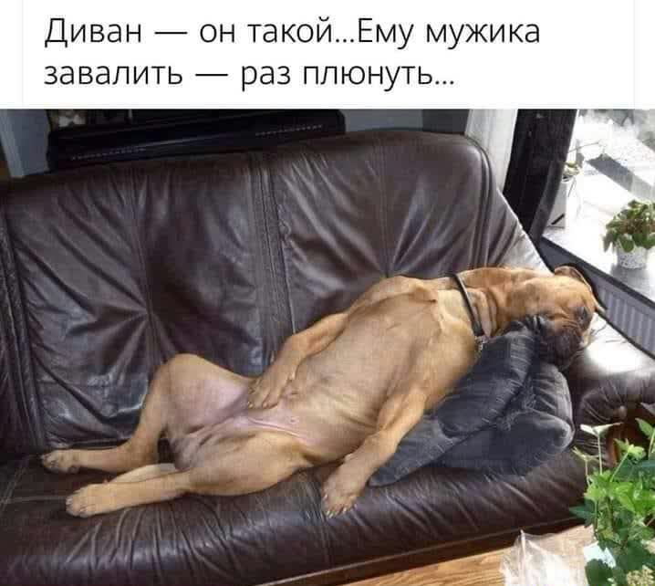 Диван он такойЕму мужика завалить раз плюнуть