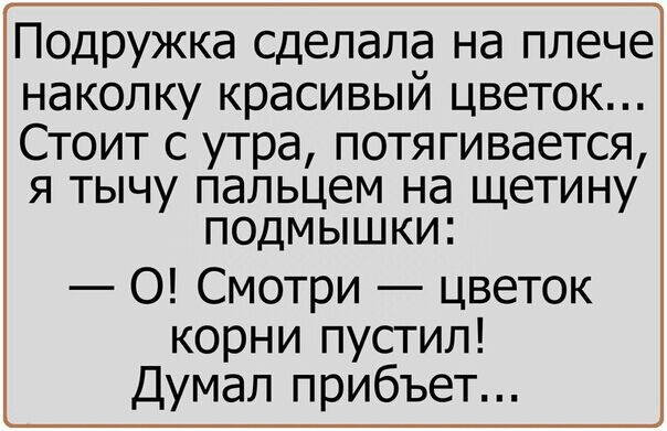 Подружка сделала на плече наколку красивый цветок Стоит с утра потягивается я тычу пальцем на щетину подмышки 0 Смотри цветок корни пустил Думал прибъет