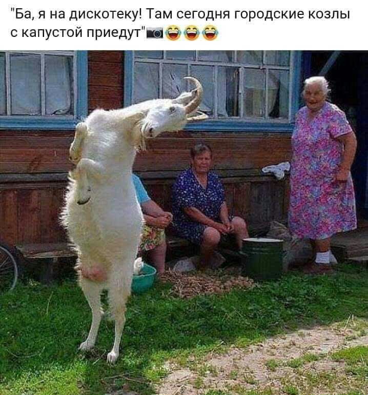 Ба я на дискотеку Там сегодня городские козлы с капустой приедутш н