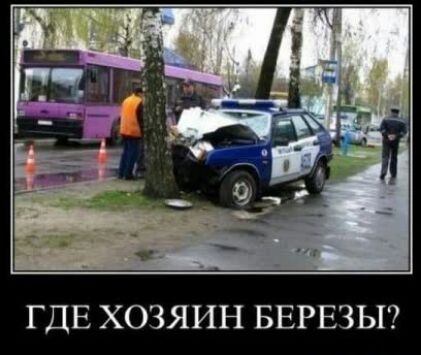 ГДЕ ХОЗЯИН БЕРЕЗЫ